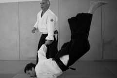 Formation_aikido_avril_2018-1001819