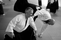 Formation_aikido_avril_2018-1001906