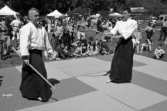 P1020107-AIKIDO